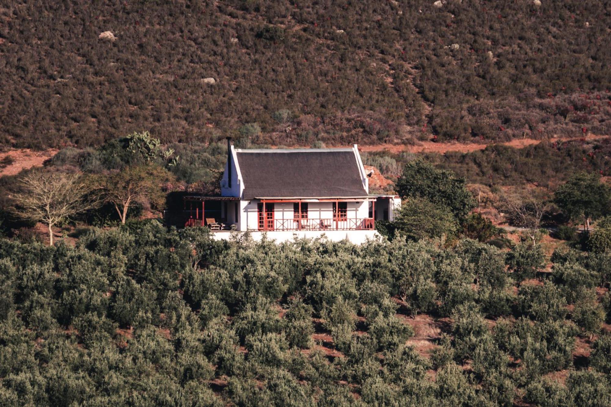 Orange Grove Villa Robertson Exterior foto